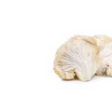 Lion's Mane